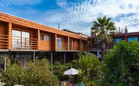 Hostel Moreno